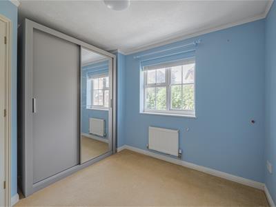 Picture 29